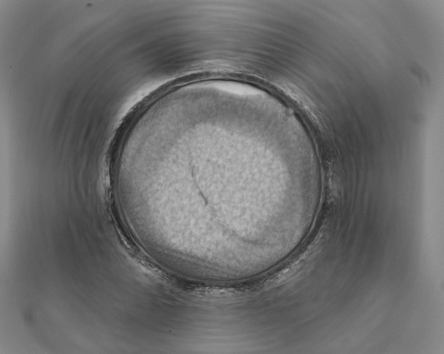 X0000111361070200908071148