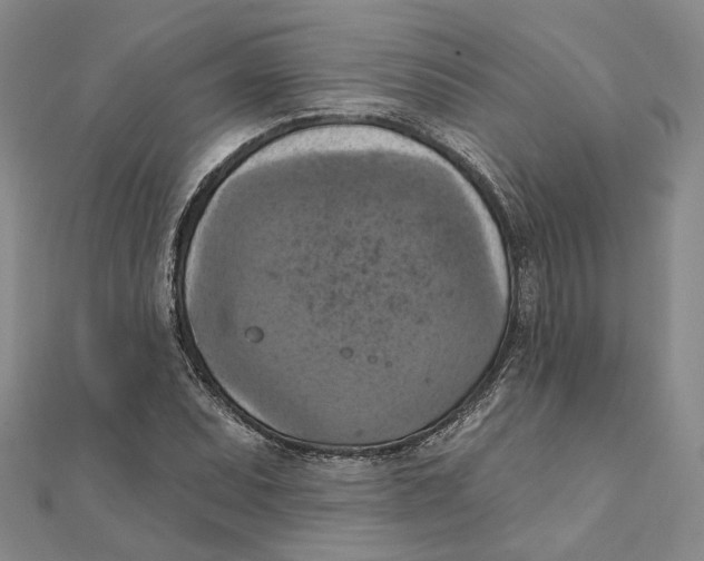 X0000111361071200908071148