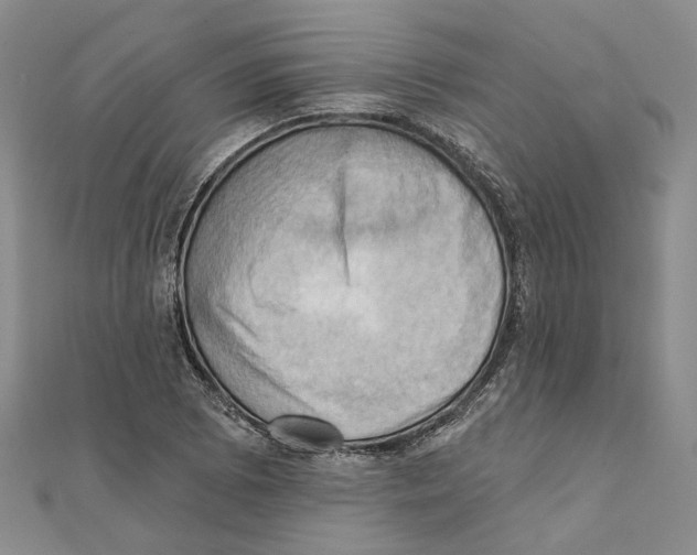 X0000111361073200908071148