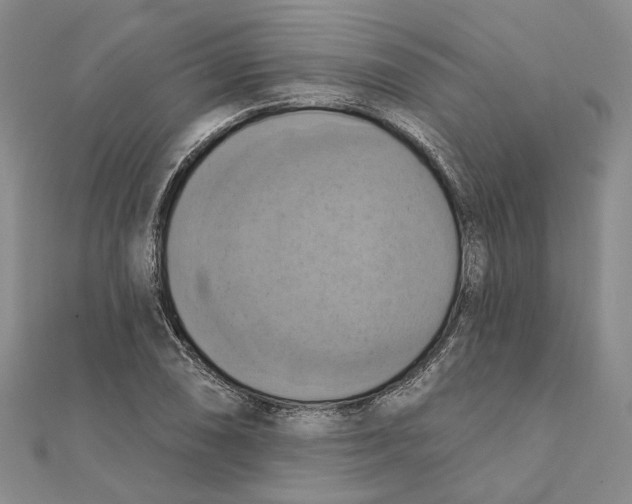 X0000111361074200908071148