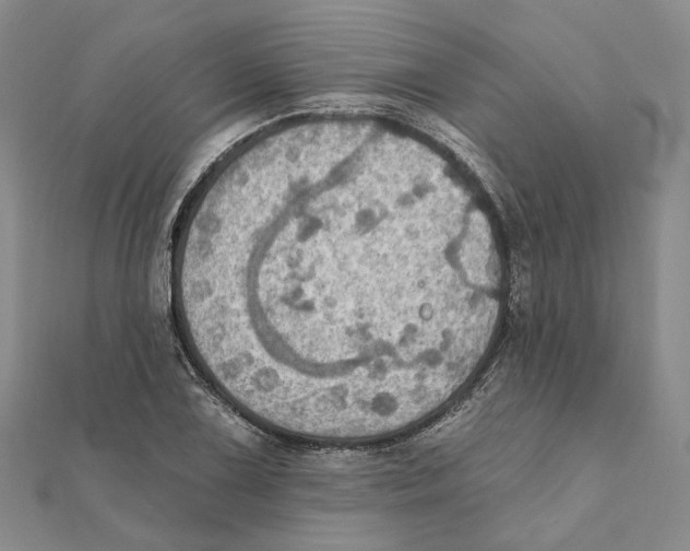 X0000111361075200908071148