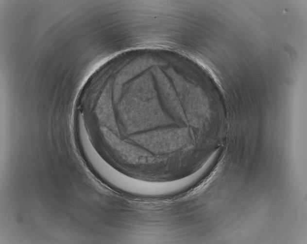 X0000111361077200908071148