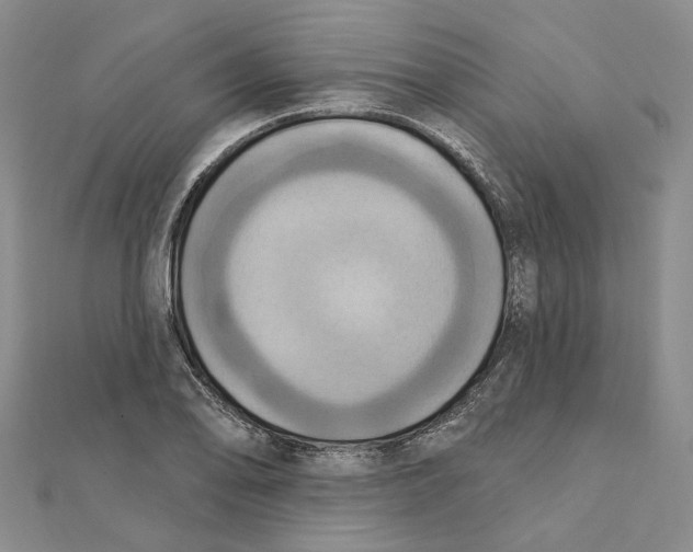 X0000111361078200908071148