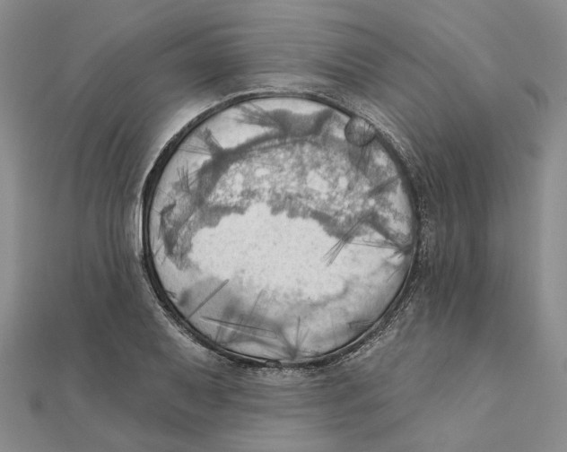 X0000111361079200908071148