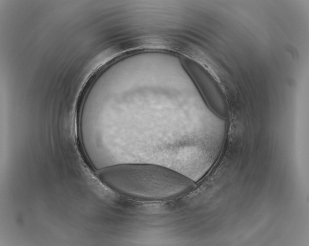 X0000111361080200908071148