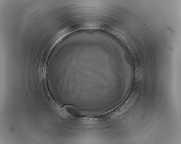 X0000111361081200908071148