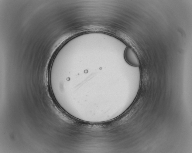 X0000111361082200908071148