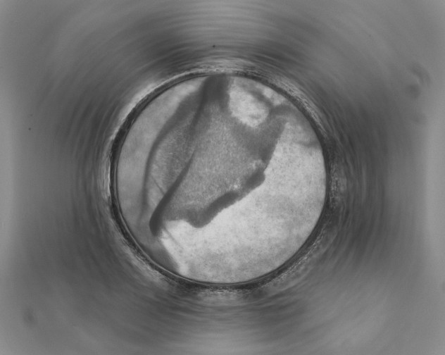 X0000111361083200908071148