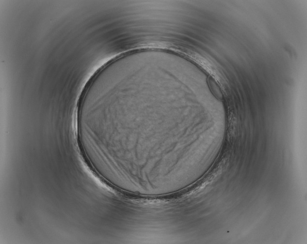 X0000111361084200908071148