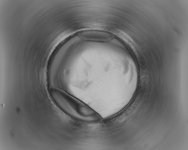 X0000111361085200908071148