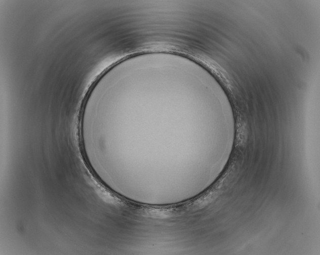 X0000111361086200908071148