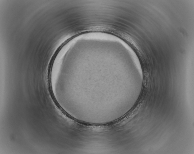 X0000111361087200908071148