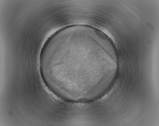 X0000111361088200908071148