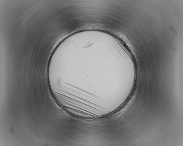 X0000111361089200908071148