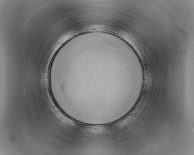 X0000111361090200908071148