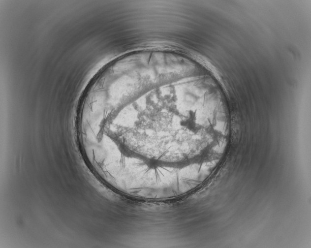 X0000111361091200908071148