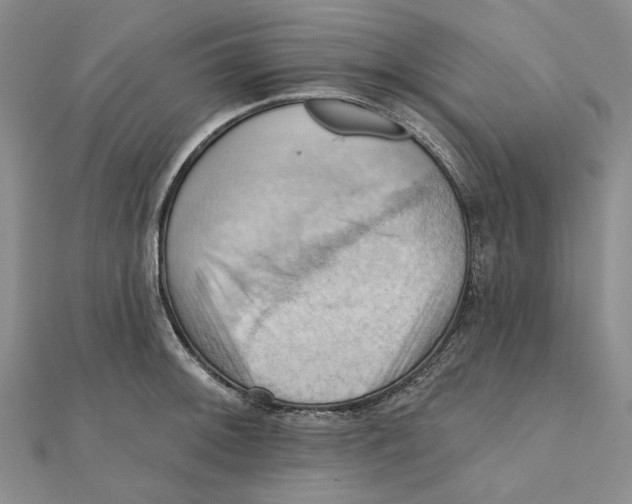 X0000111361092200908071148