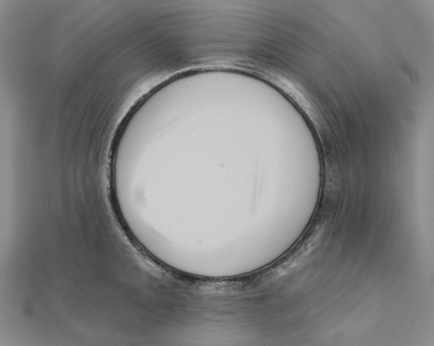 X0000111361093200908071148