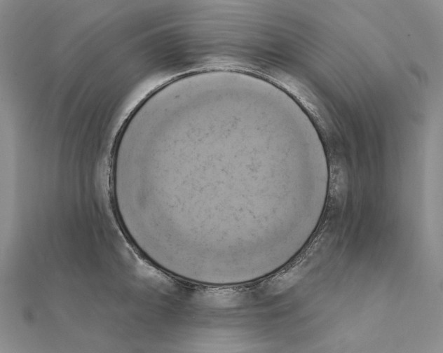 X0000111361094200908071148