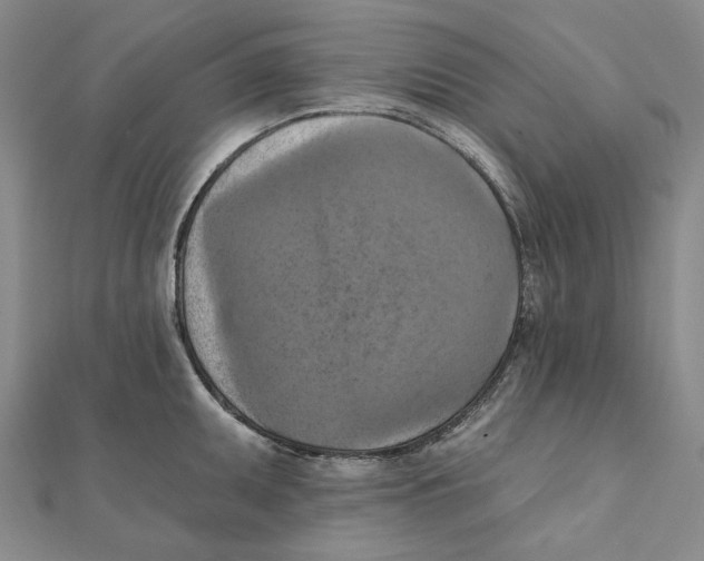 X0000111361095200908071148