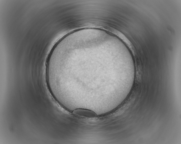 X0000111361096200908071148