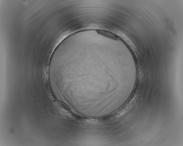 X0000111361097200908071148