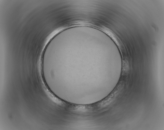 X0000111361098200908071148