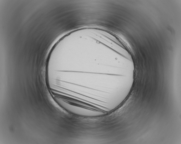 X0000111361100200908071148