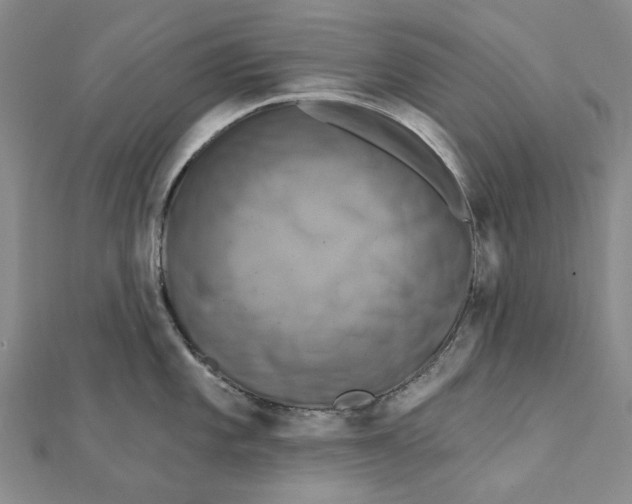 X0000111361101200908071148