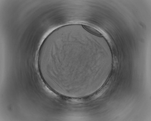 X0000111361102200908071148