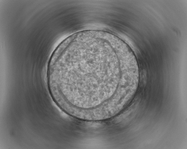 X0000111361103200908071148