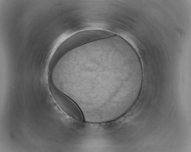 X0000111361104200908071148