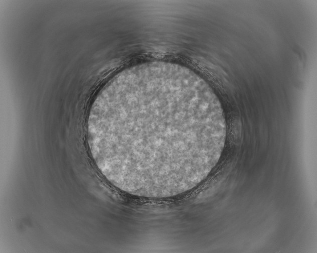 X0000111361105200908071147