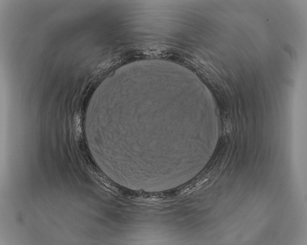 X0000111361106200908071147