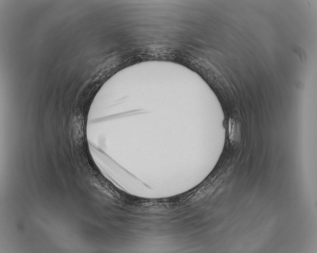 X0000111361107200908071147