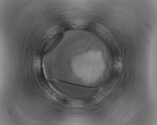 X0000111361108200908071147