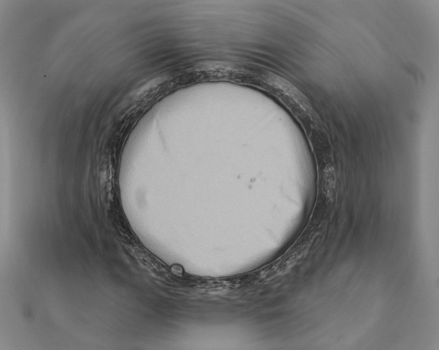 X0000111361111200908071147