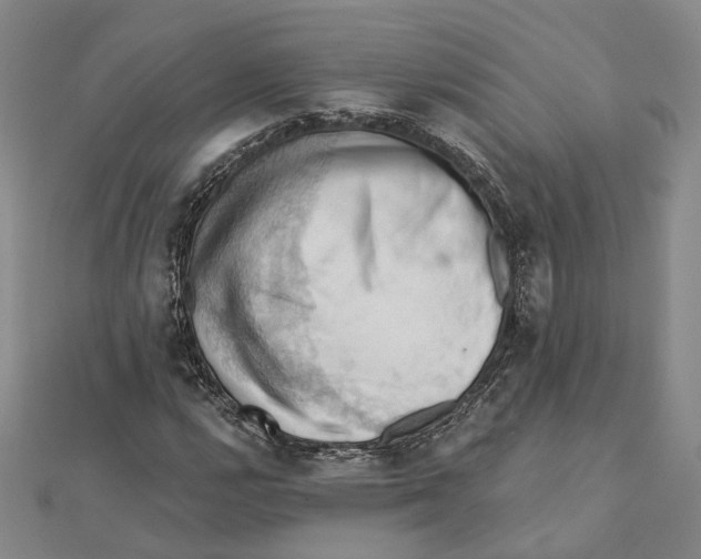 X0000111361112200908071147