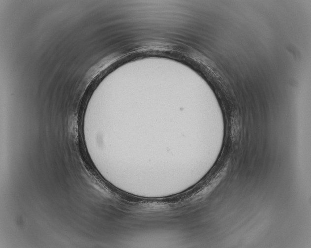 X0000111361113200908071147