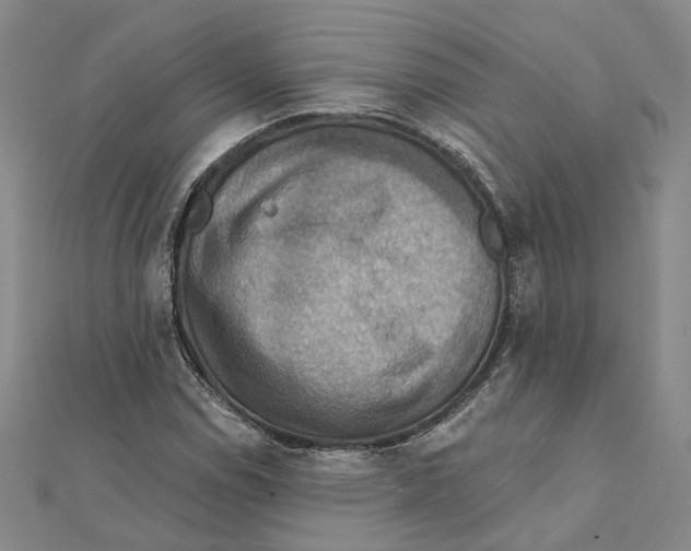 X0000111361114200908071147