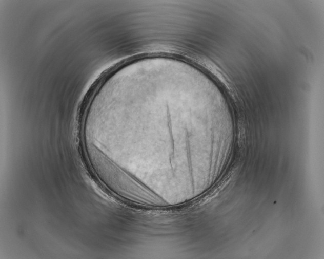 X0000111361116200908071147