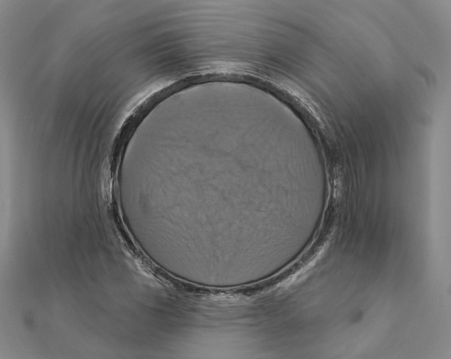 X0000111361117200908071147