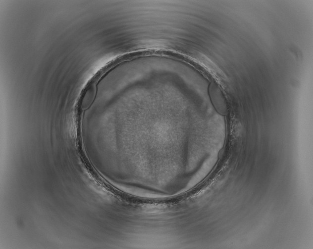 X0000111361118200908071147