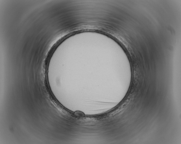 X0000111361119200908071148