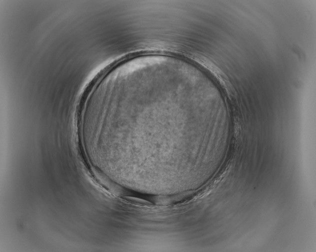 X0000111361120200908071148