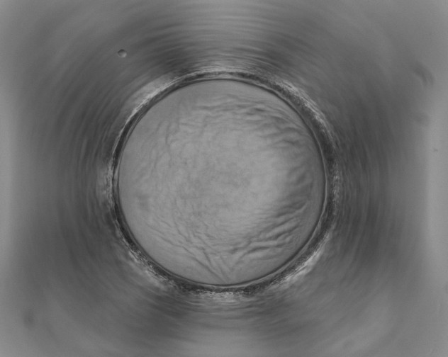 X0000111361121200908071148