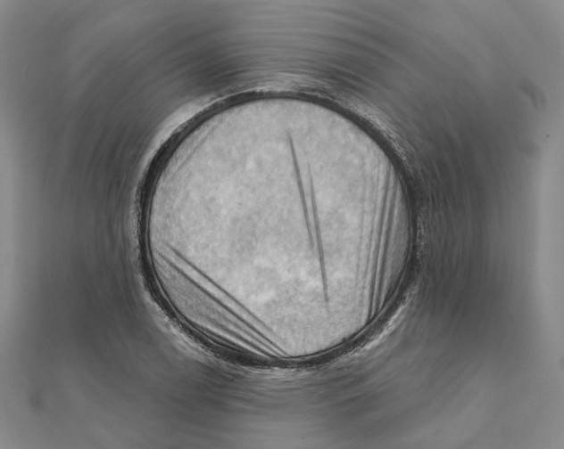 X0000111361122200908071148