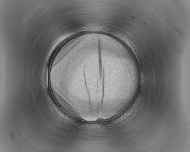 X0000111361123200908071148