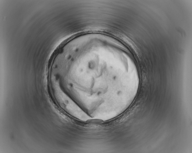 X0000111361124200908071148