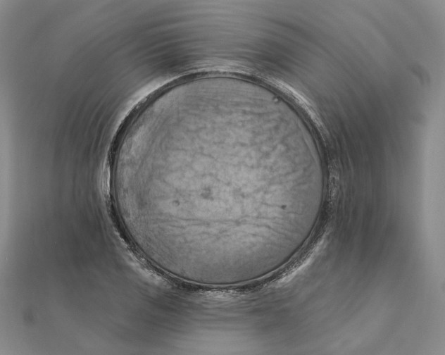 X0000111361125200908071148